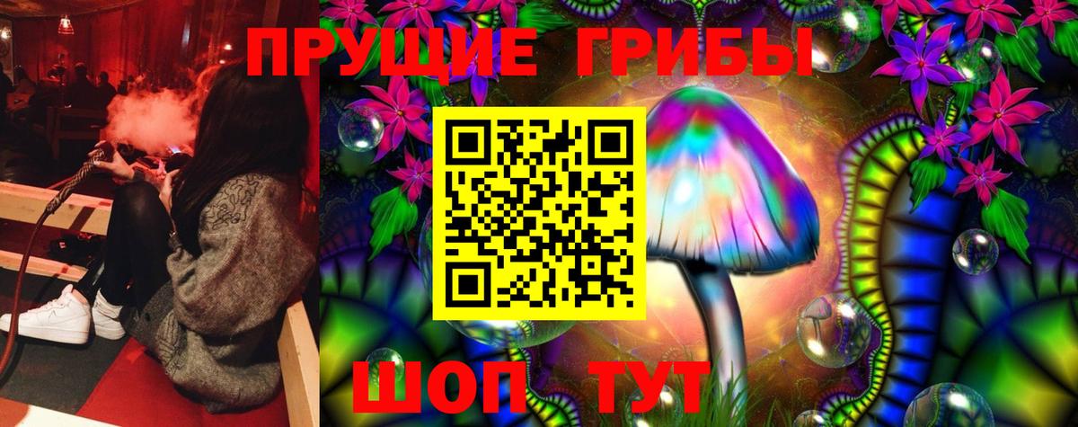 Коряжма  Псилоцибиновые грибы ЛСД  Псилоцибиновые грибы GOLDEN TEACHER  Вход с VPN 